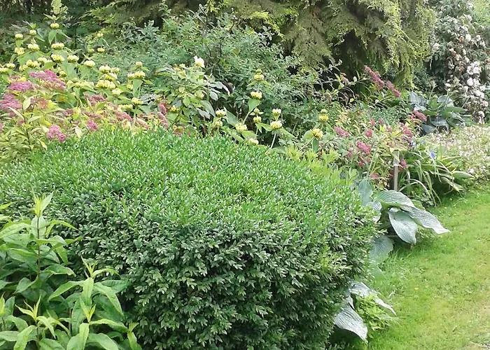 Guest house Les Ruettes 3*